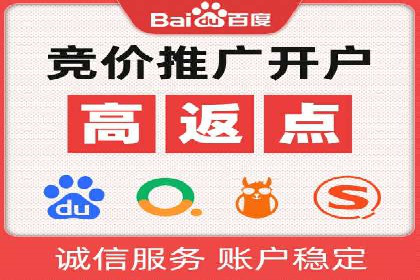 百度竞价广告投放案例剖析